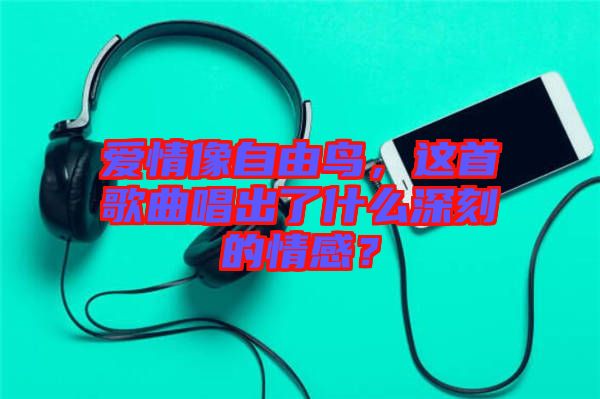 愛(ài)情像自由鳥(niǎo)，這首歌曲唱出了什么深刻的情感？