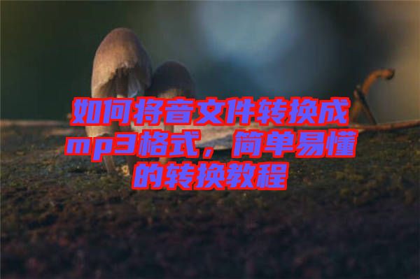 如何將音文件轉(zhuǎn)換成mp3格式，簡單易懂的轉(zhuǎn)換教程