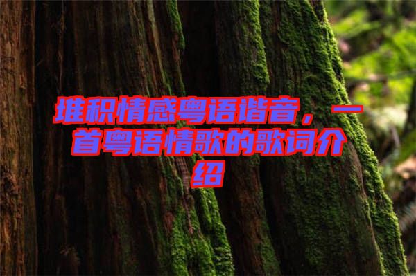 堆積情感粵語諧音，一首粵語情歌的歌詞介紹