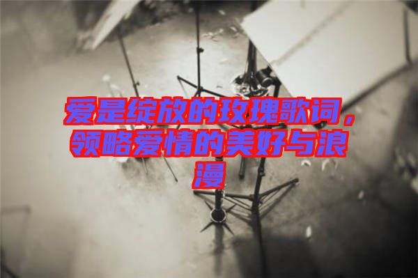 愛是綻放的玫瑰歌詞，領(lǐng)略愛情的美好與浪漫