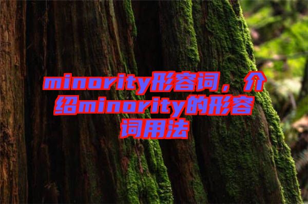 minority形容詞，介紹minority的形容詞用法