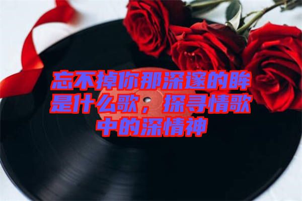 忘不掉你那深邃的眸是什么歌，探尋情歌中的深情神