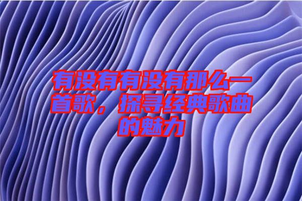 有沒有有沒有那么一首歌，探尋經(jīng)典歌曲的魅力