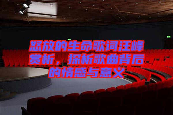 怒放的生命歌詞汪峰賞析，探析歌曲背后的情感與意義