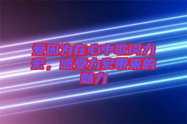 愛因?yàn)樵谛闹懈柙~力宏，感受力宏帶來的魅力