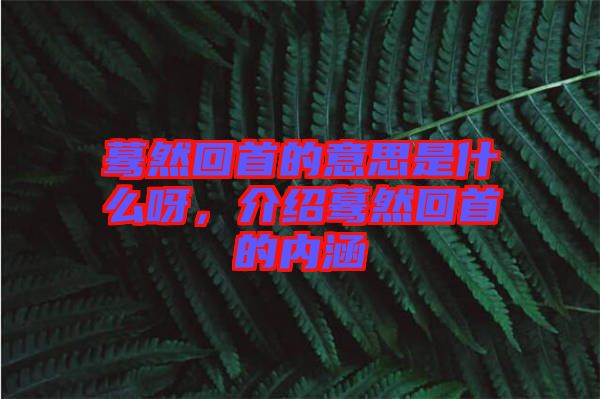 驀然回首的意思是什么呀，介紹驀然回首的內(nèi)涵