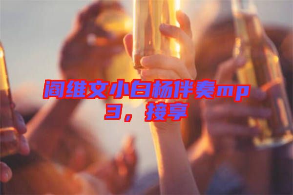 閻維文小白楊伴奏mp3，接享