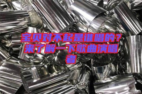 寶貝對(duì)不起是誰唱的？來了解一下歌曲演唱者