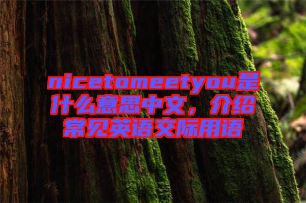 nicetomeetyou是什么意思中文，介紹常見(jiàn)英語(yǔ)交際用語(yǔ)