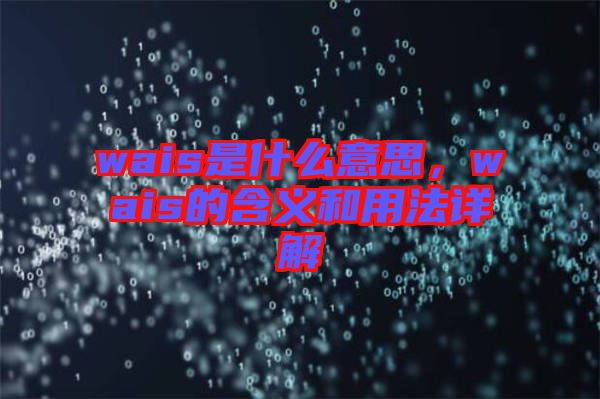 wais是什么意思，wais的含義和用法詳解