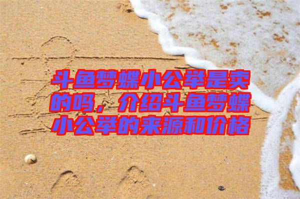 斗魚夢蝶小公舉是賣的嗎，介紹斗魚夢蝶小公舉的來源和價格