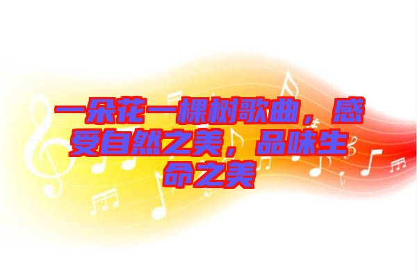 一朵花一棵樹歌曲，感受自然之美，品味生命之美