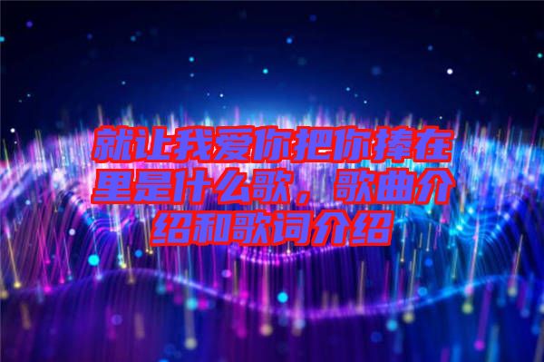 就讓我愛你把你捧在里是什么歌，歌曲介紹和歌詞介紹