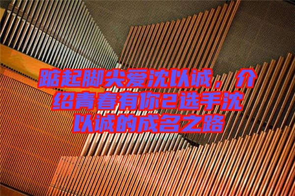 踮起腳尖愛沈以誠，介紹青春有你2選手沈以誠的成名之路