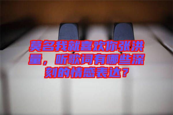 莫名我就喜歡你張洪量，聽歌詞有哪些深刻的情感表達？