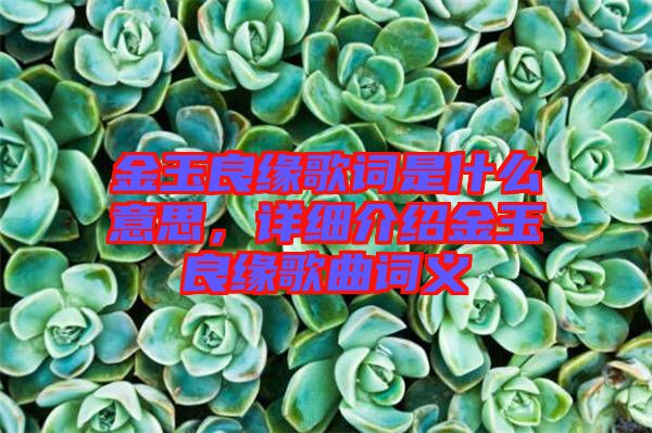 金玉良緣歌詞是什么意思，詳細(xì)介紹金玉良緣歌曲詞義