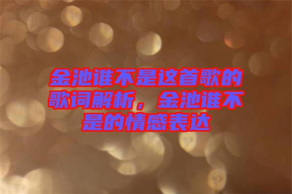 金池誰不是這首歌的歌詞解析，金池誰不是的情感表達