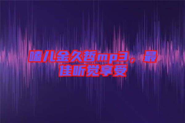 嗑兒金久哲mp3，最佳聽覺享受