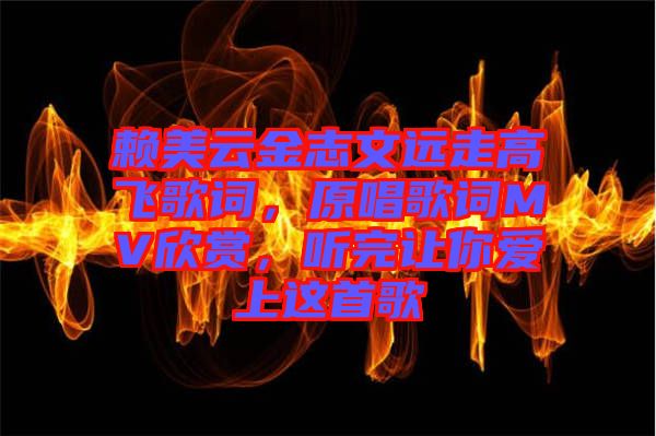 賴美云金志文遠走高飛歌詞，原唱歌詞MV欣賞，聽完讓你愛上這首歌