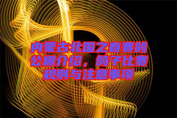 內(nèi)蒙古北國之春賽鴿公棚介紹，鴿子比賽規(guī)則與注意事項