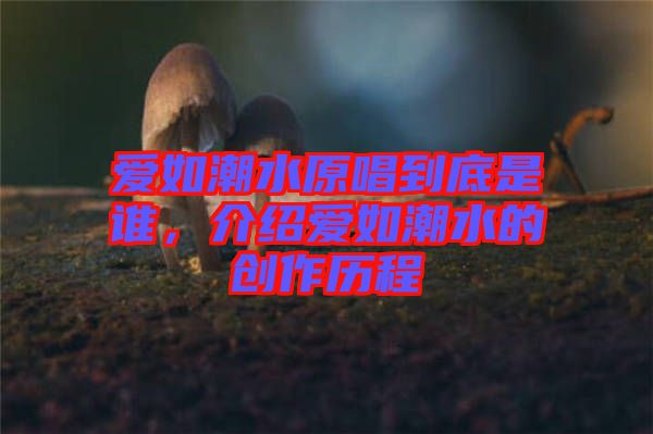 愛如潮水原唱到底是誰(shuí)，介紹愛如潮水的創(chuàng)作歷程