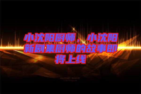 小沈陽廚師，小沈陽新劇集廚師的故事即將上線