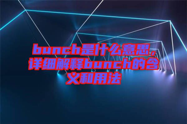 bunch是什么意思，詳細(xì)解釋bunch的含義和用法