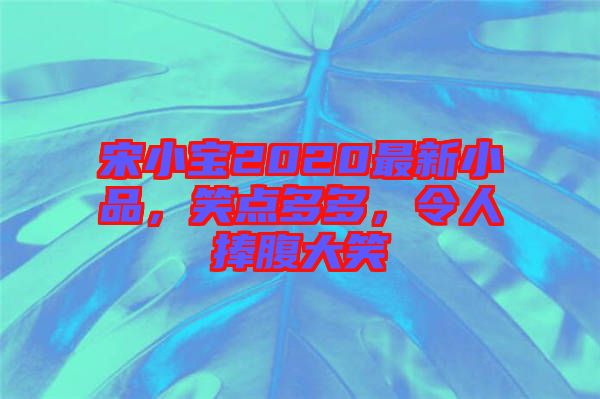 宋小寶2020最新小品，笑點(diǎn)多多，令人捧腹大笑