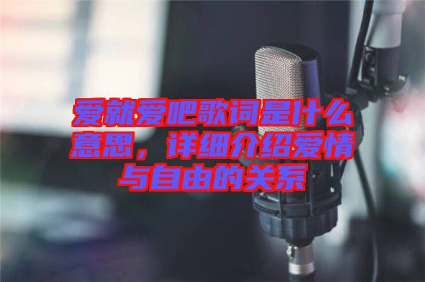 愛就愛吧歌詞是什么意思，詳細(xì)介紹愛情與自由的關(guān)系