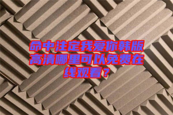 命中注定我愛(ài)你韓版高清哪里可以免費(fèi)在線觀看？