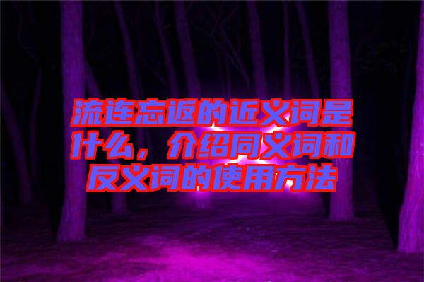 流連忘返的近義詞是什么，介紹同義詞和反義詞的使用方法