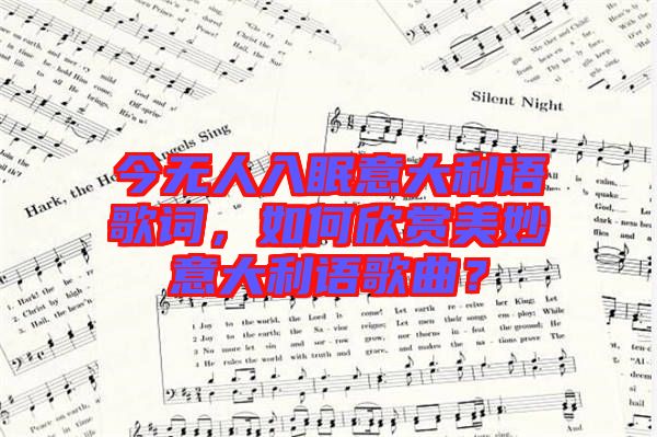 今無人入眠意大利語歌詞，如何欣賞美妙意大利語歌曲？