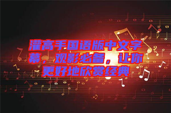 灌高手國語版中文字幕，觀影必備，讓你更好地欣賞經(jīng)典