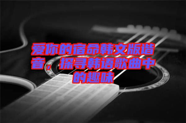 愛你的宿命韓文版諧音，探尋韓語歌曲中的趣味