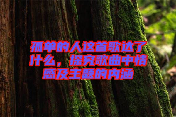 孤單的人這首歌達(dá)了什么，探究歌曲中情感及主題的內(nèi)涵