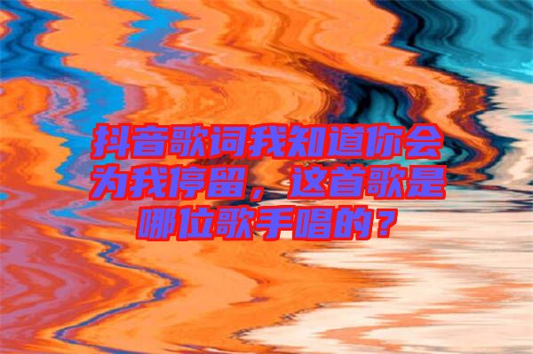 抖音歌詞我知道你會為我停留，這首歌是哪位歌手唱的？