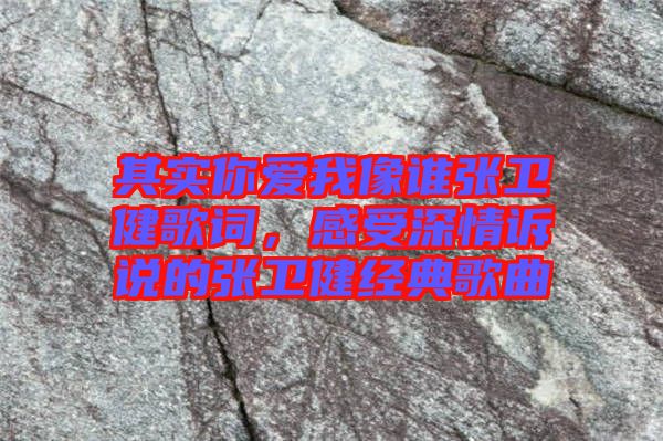 其實你愛我像誰張衛(wèi)健歌詞，感受深情訴說的張衛(wèi)健經(jīng)典歌曲