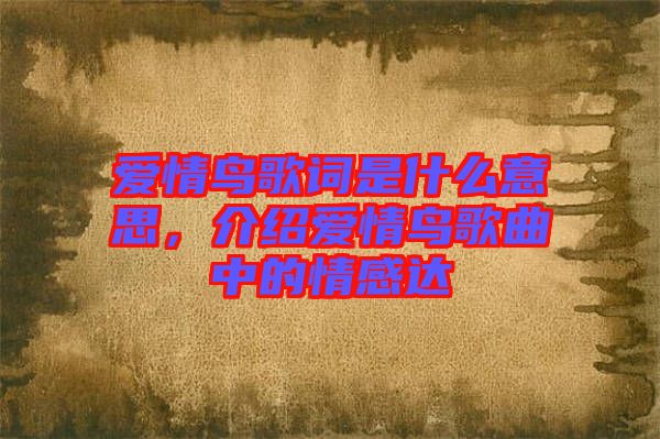 愛情鳥歌詞是什么意思，介紹愛情鳥歌曲中的情感達