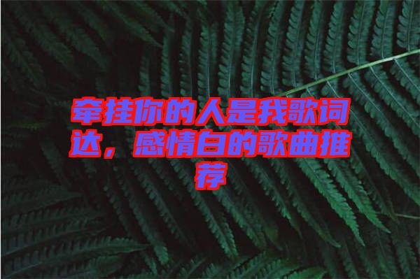 牽掛你的人是我歌詞達(dá)，感情白的歌曲推薦