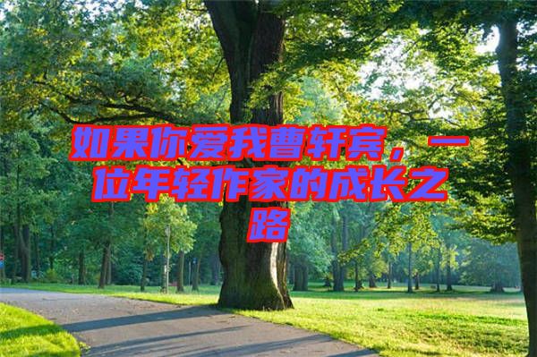 如果你愛我曹軒賓，一位年輕作家的成長之路