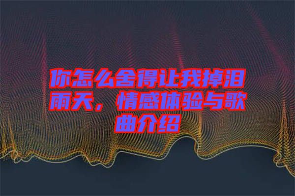 你怎么舍得讓我掉淚雨天，情感體驗與歌曲介紹