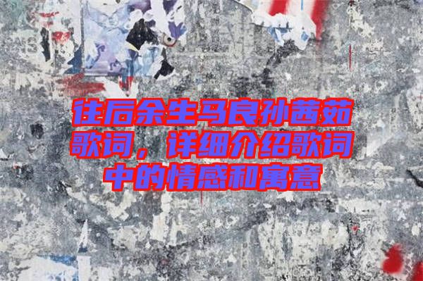 往后余生馬良孫茜茹歌詞，詳細(xì)介紹歌詞中的情感和寓意