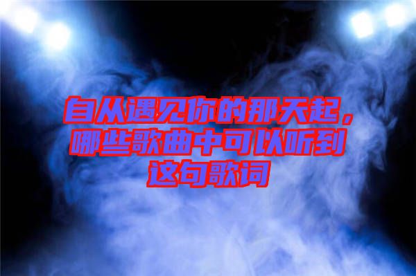 自從遇見你的那天起，哪些歌曲中可以聽到這句歌詞