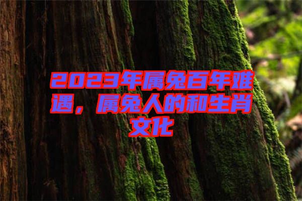 2023年屬兔百年難遇，屬兔人的和生肖文化