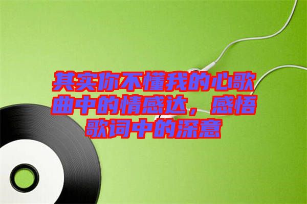 其實(shí)你不懂我的心歌曲中的情感達(dá)，感悟歌詞中的深意