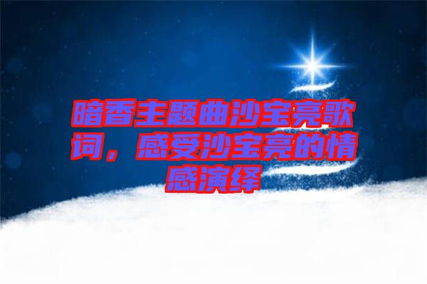 暗香主題曲沙寶亮歌詞，感受沙寶亮的情感演繹