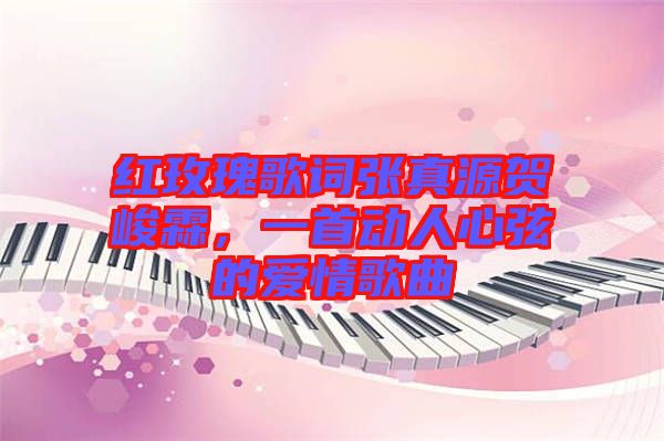 紅玫瑰歌詞張真源賀峻霖，一首動(dòng)人心弦的愛情歌曲