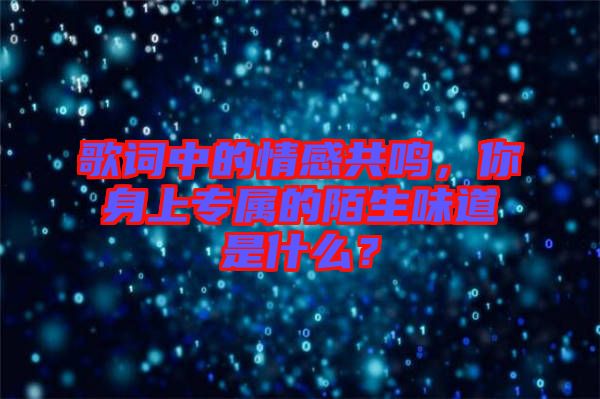 歌詞中的情感共鳴，你身上專屬的陌生味道是什么？