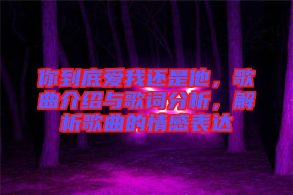 你到底愛(ài)我還是他，歌曲介紹與歌詞分析，解析歌曲的情感表達(dá)