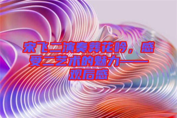 宋飛二演奏葬花吟，感受二藝術的魅力——觀后感